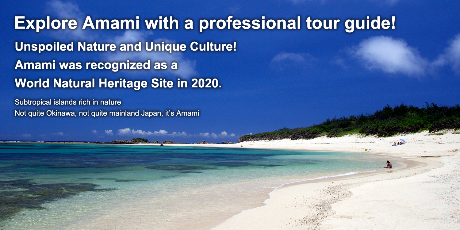 Explore Amami with a professional tour guide!