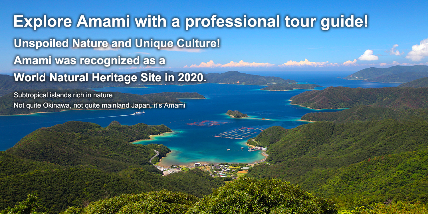 Explore Amami with a professional tour guide!