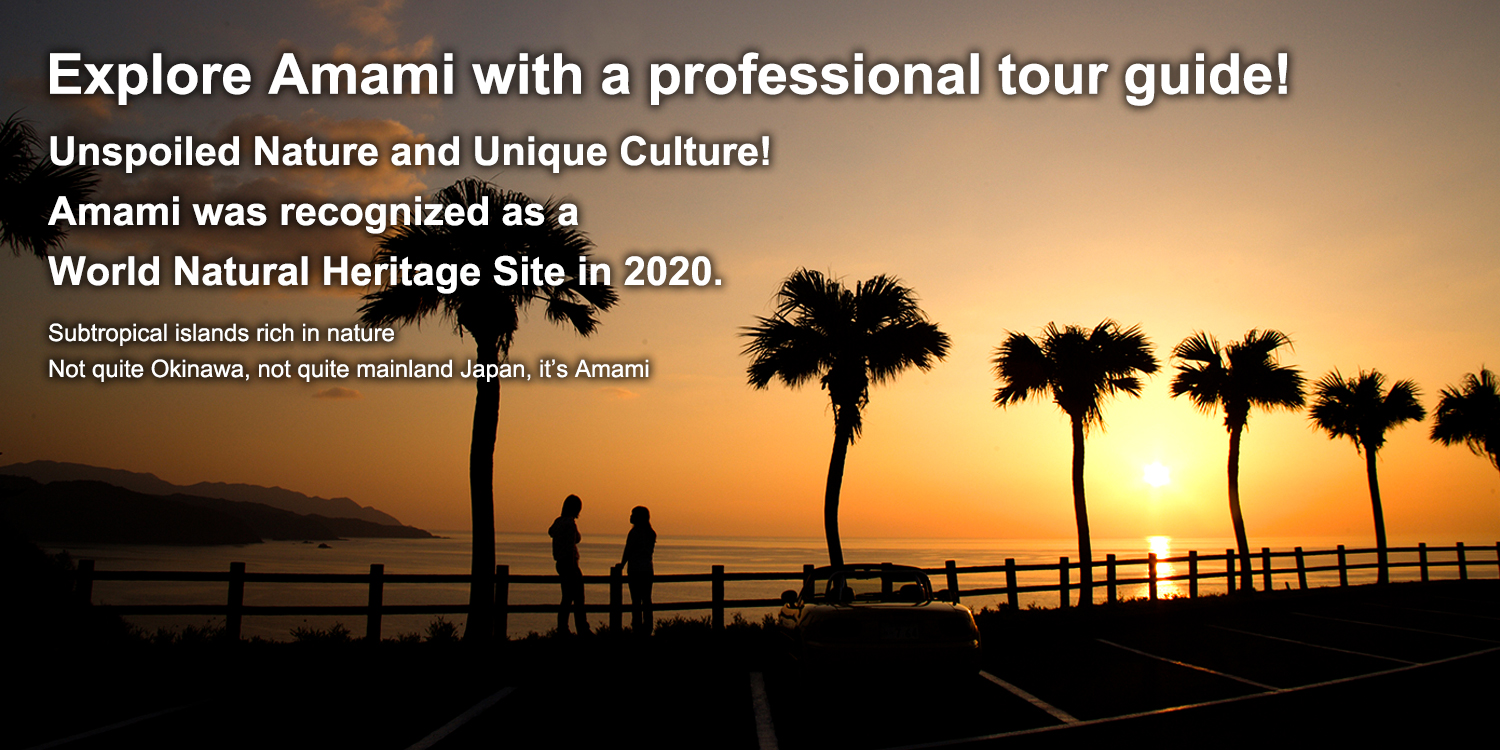 Explore Amami with a professional tour guide!